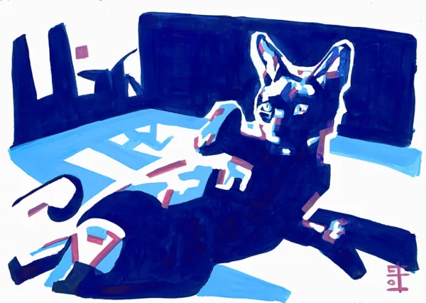 Peinture de Lola Jamin d'un chat couché sur le dos pattes en l'air