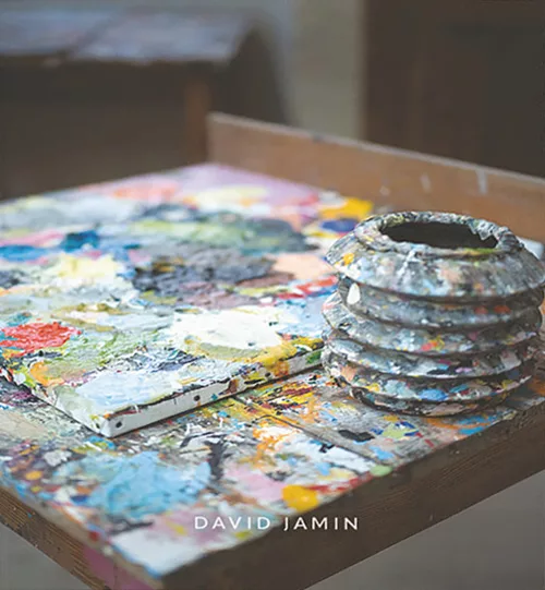 Couverture du livre DAVID JAMIN